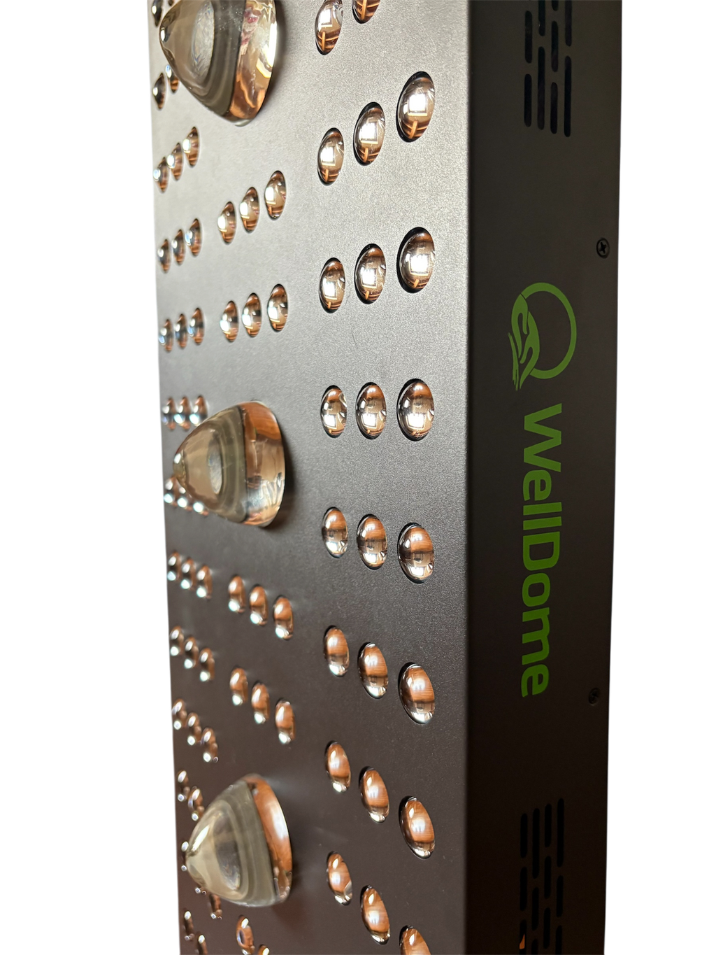 WellDome Panel PRO
