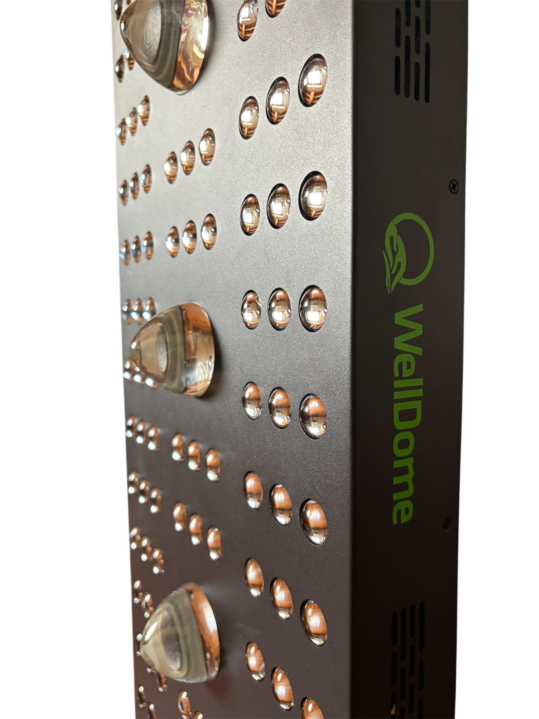 WellDome Panel PRO