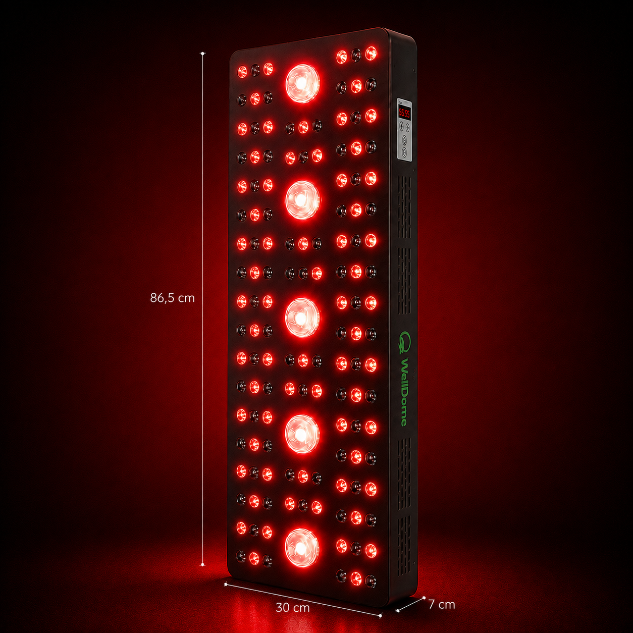 WellDome Panel – immagine 1