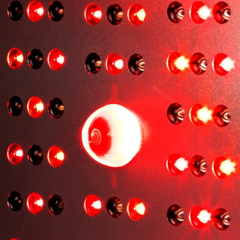 WellDome Panel PRO